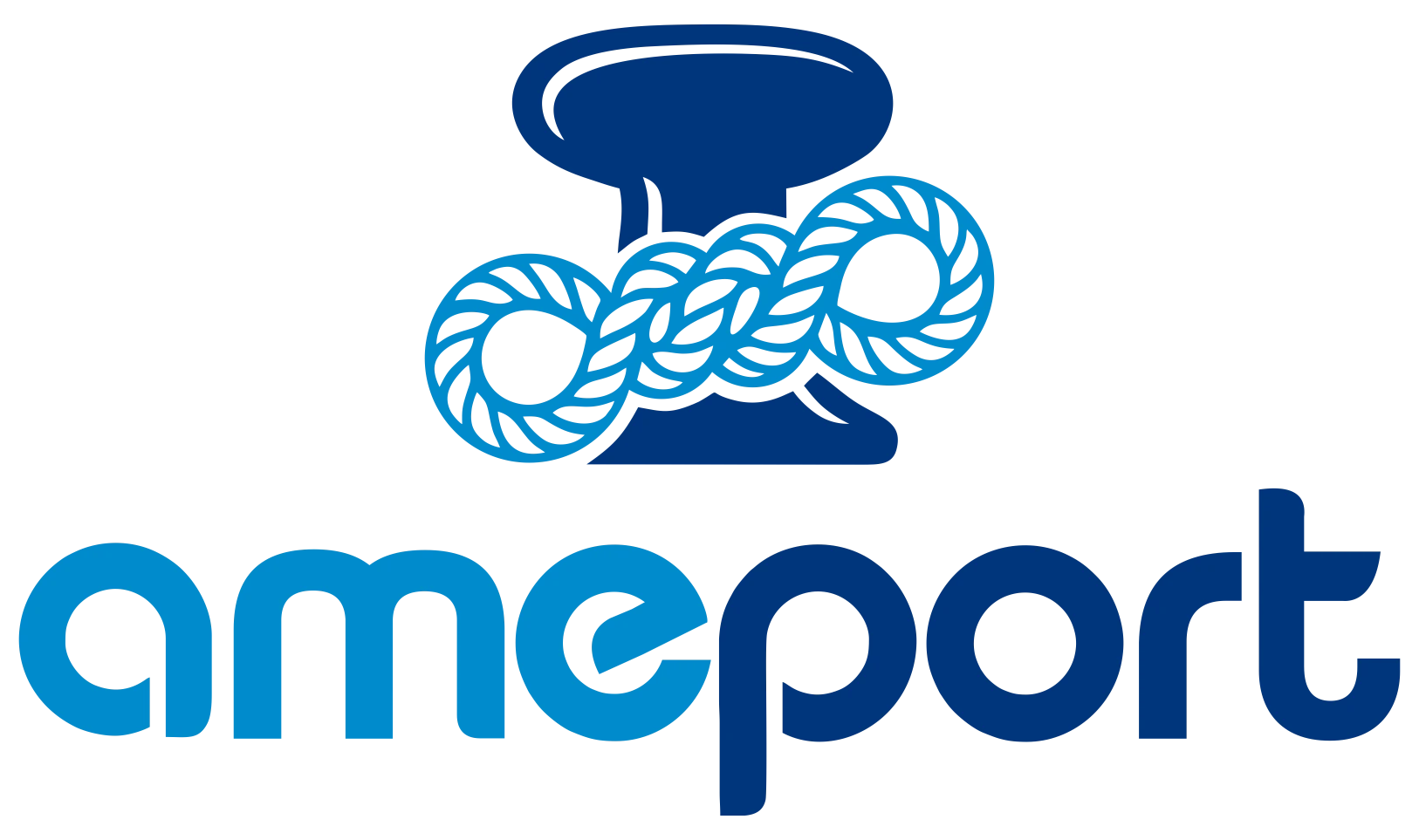 AMEPORT